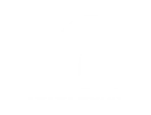ICICI-Bank